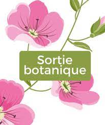 Les mains vertes de Guerlédan - Sortie jardin