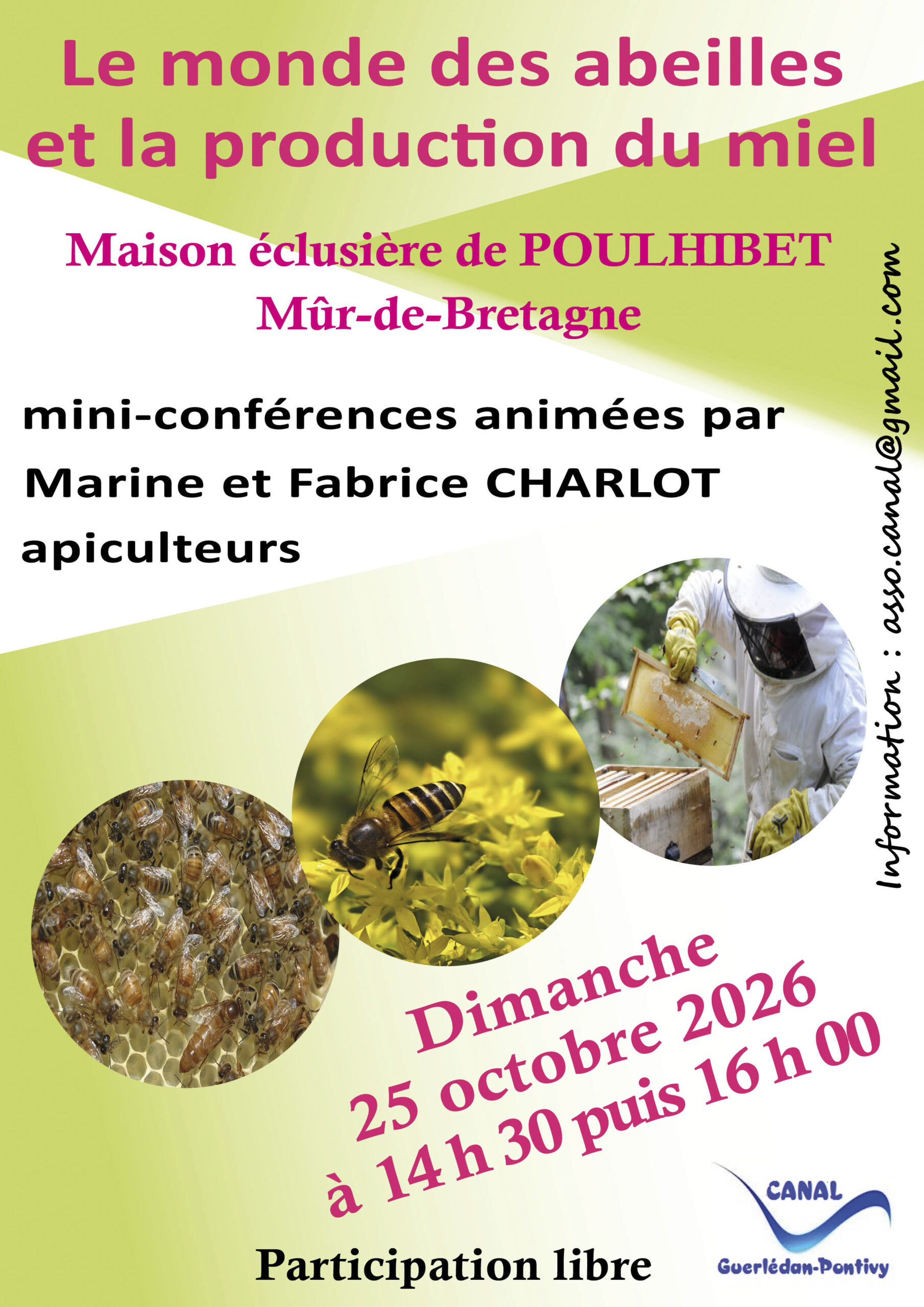 Le monde des abeilles et la production du miel